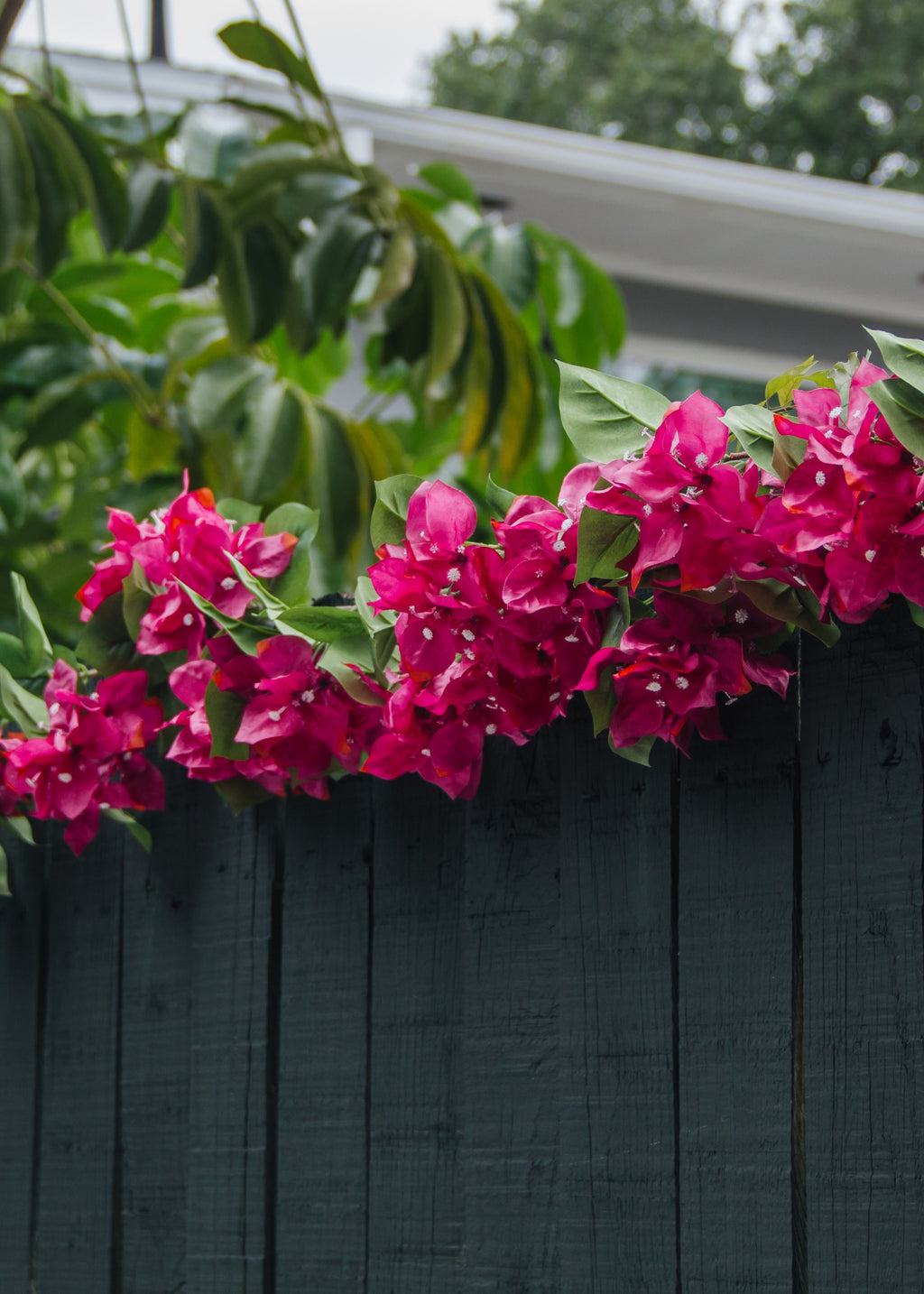 Fuchsia Pink Artificial Bougainvillea Garland - 72"