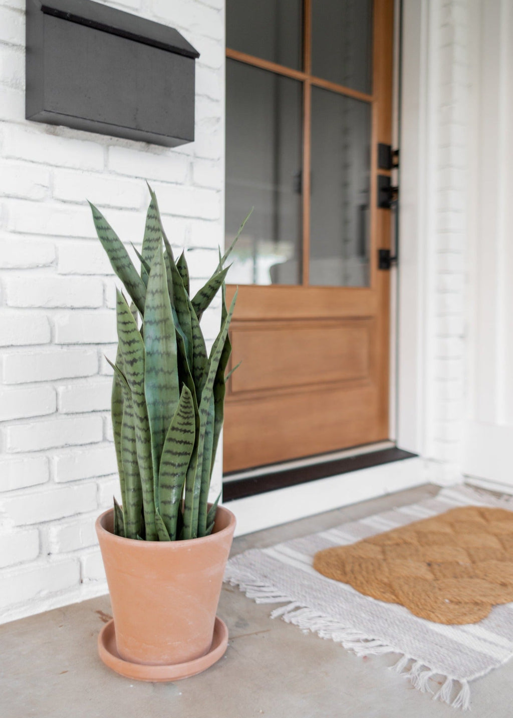 UV Treated Outdoor Fake Potted Sansevieria Snake Plant - 35"