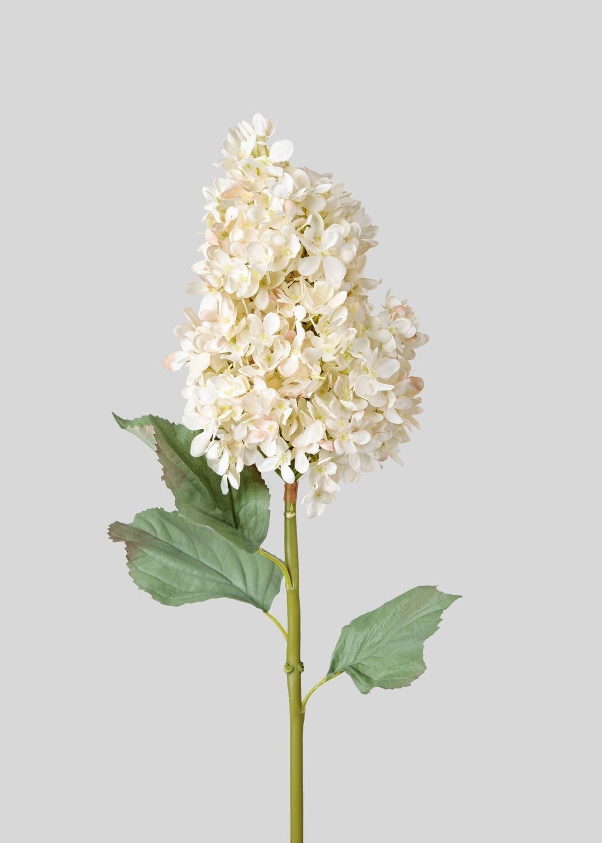 SAVE - Large Deluxe Faux Dried Cone Hydrangea in Parchment