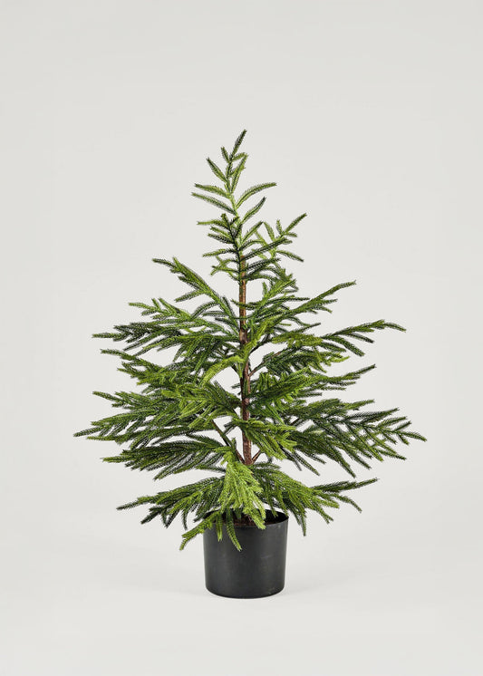 Afloral™ Artificial Norfolk Pine Tree - 36"