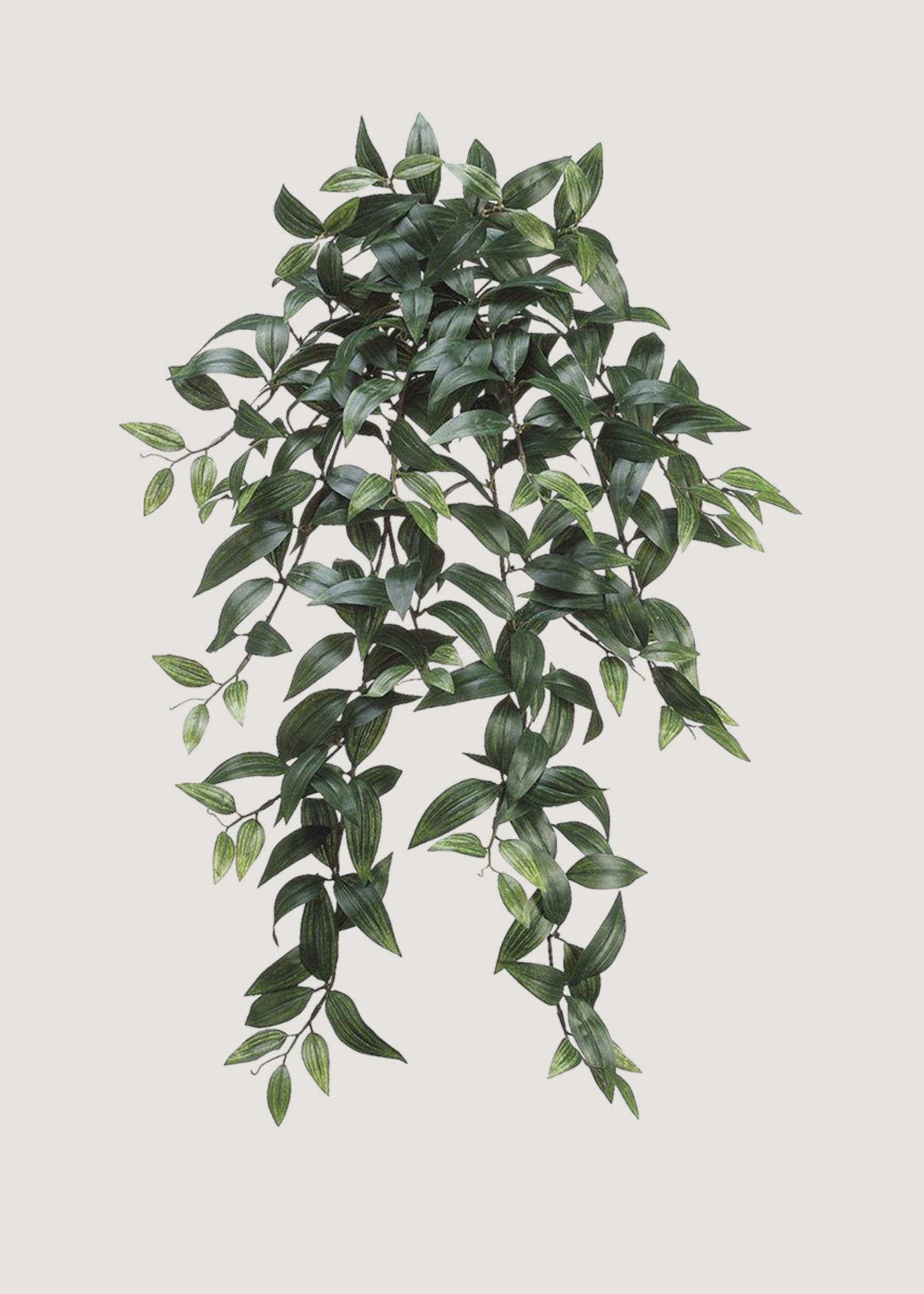 Fake Ruscus Leaf Hanging Plant - 31"