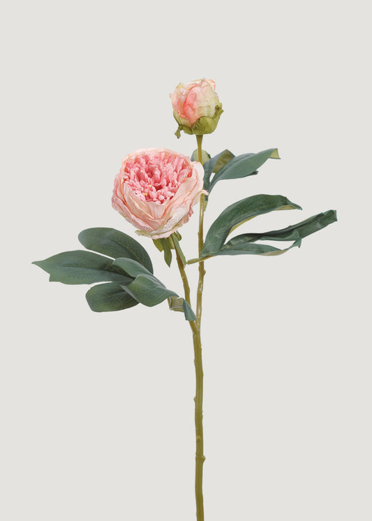 Artificial Petite Peony Flower in Pink - 19"