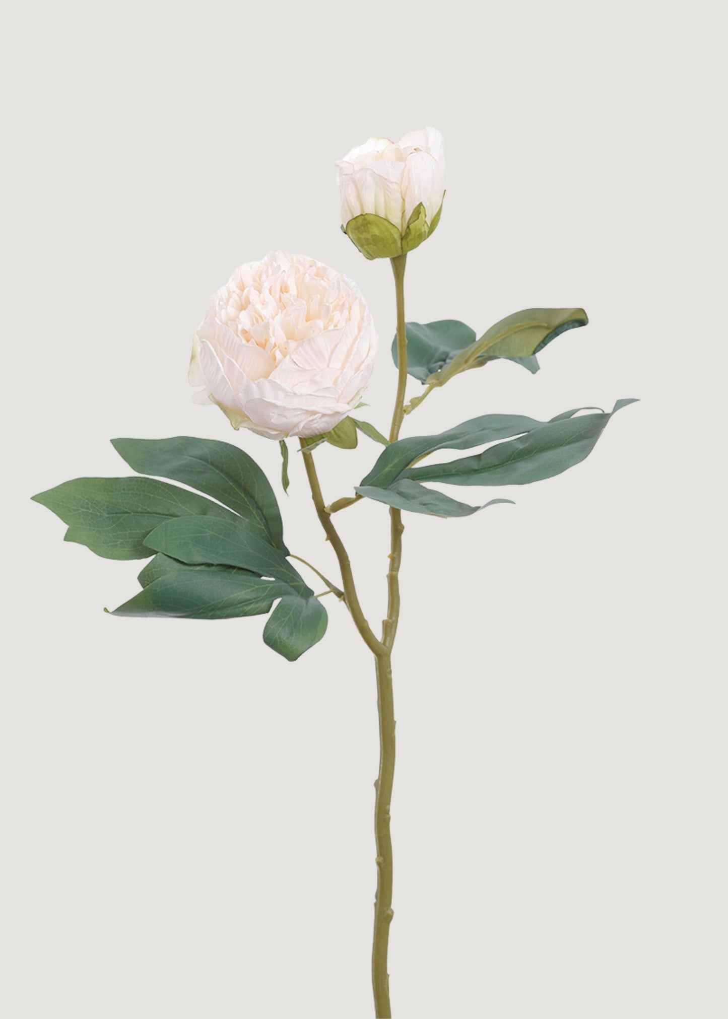 Petite Peony Fake Flower in Cream Blush - 19"
