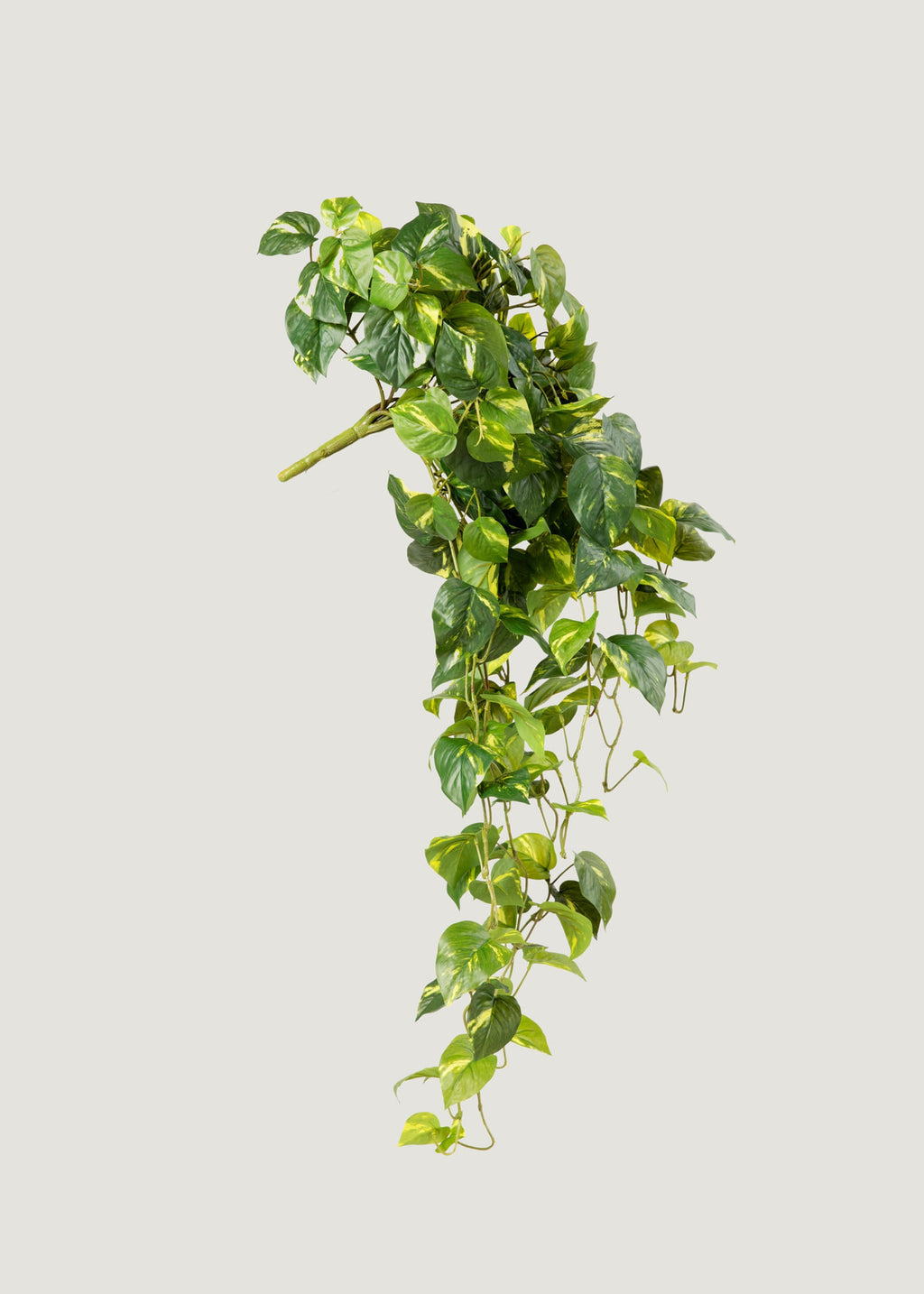 Deluxe Real Touch Pothos Fake Hanging Plant - 36"
