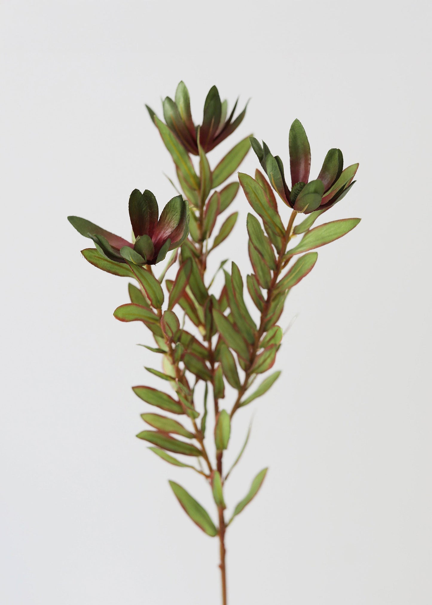 Green Artificial Wild Protea Foliage - 26.25"