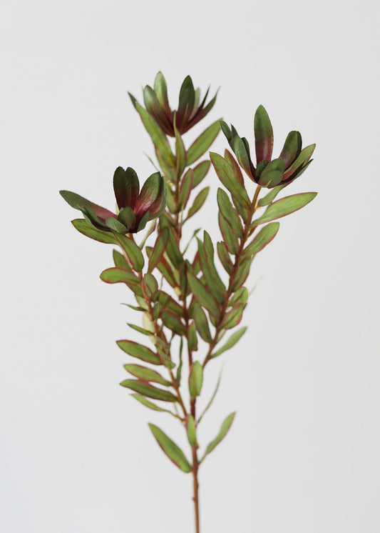 Green Artificial Wild Protea Foliage - 26.25"