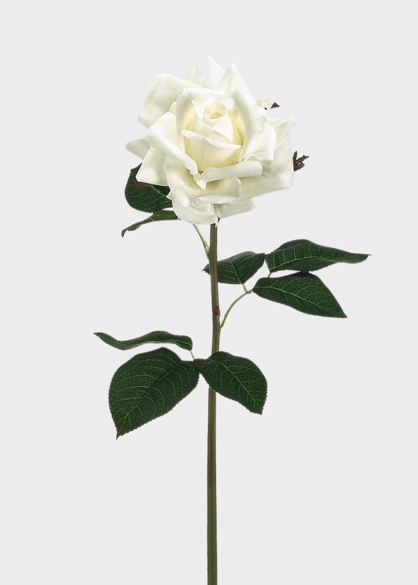 Fake Rose Real Touch Flower in White - 20.5"
