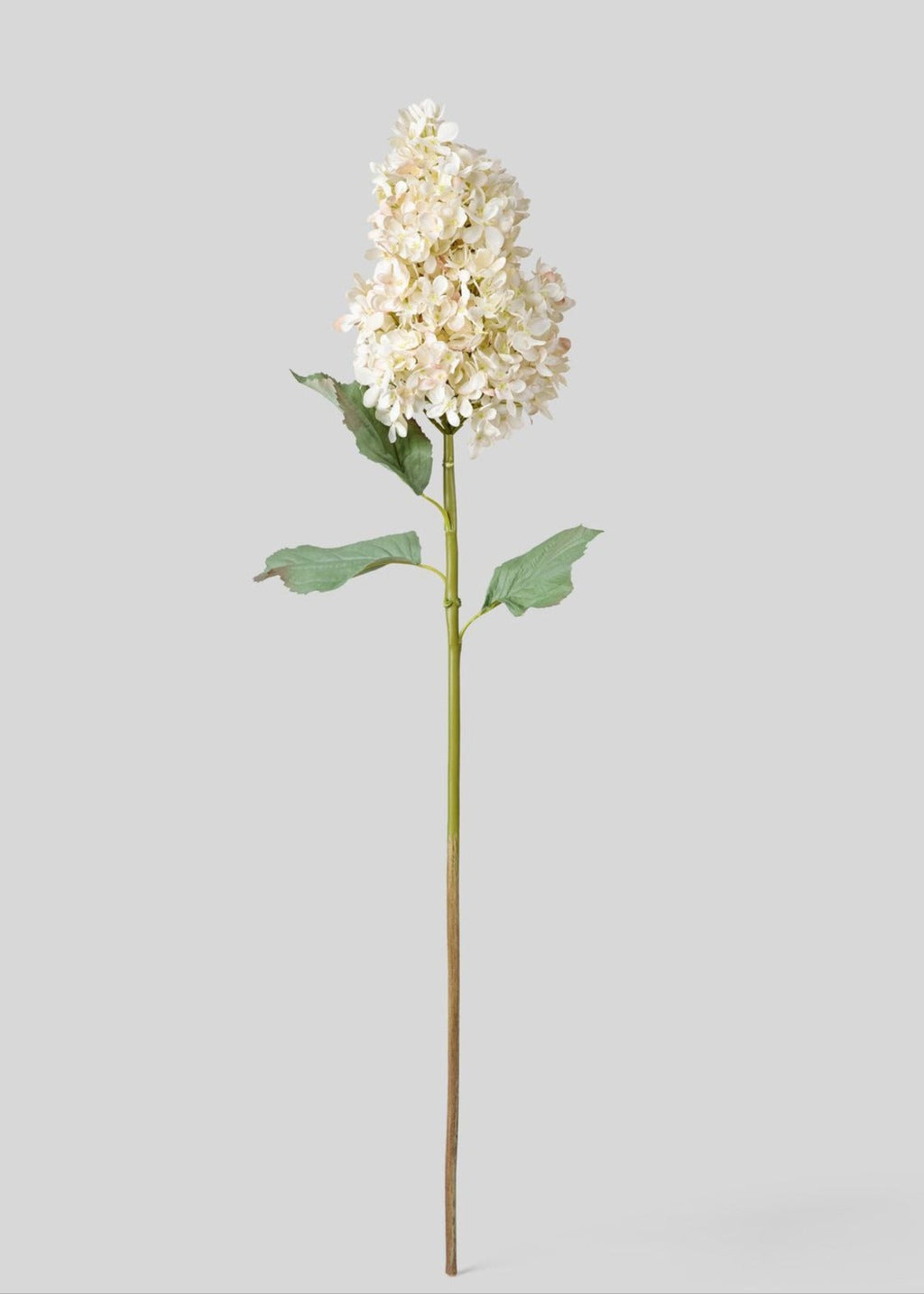 Large Deluxe Faux Dried Cone Hydrangea in Parchment