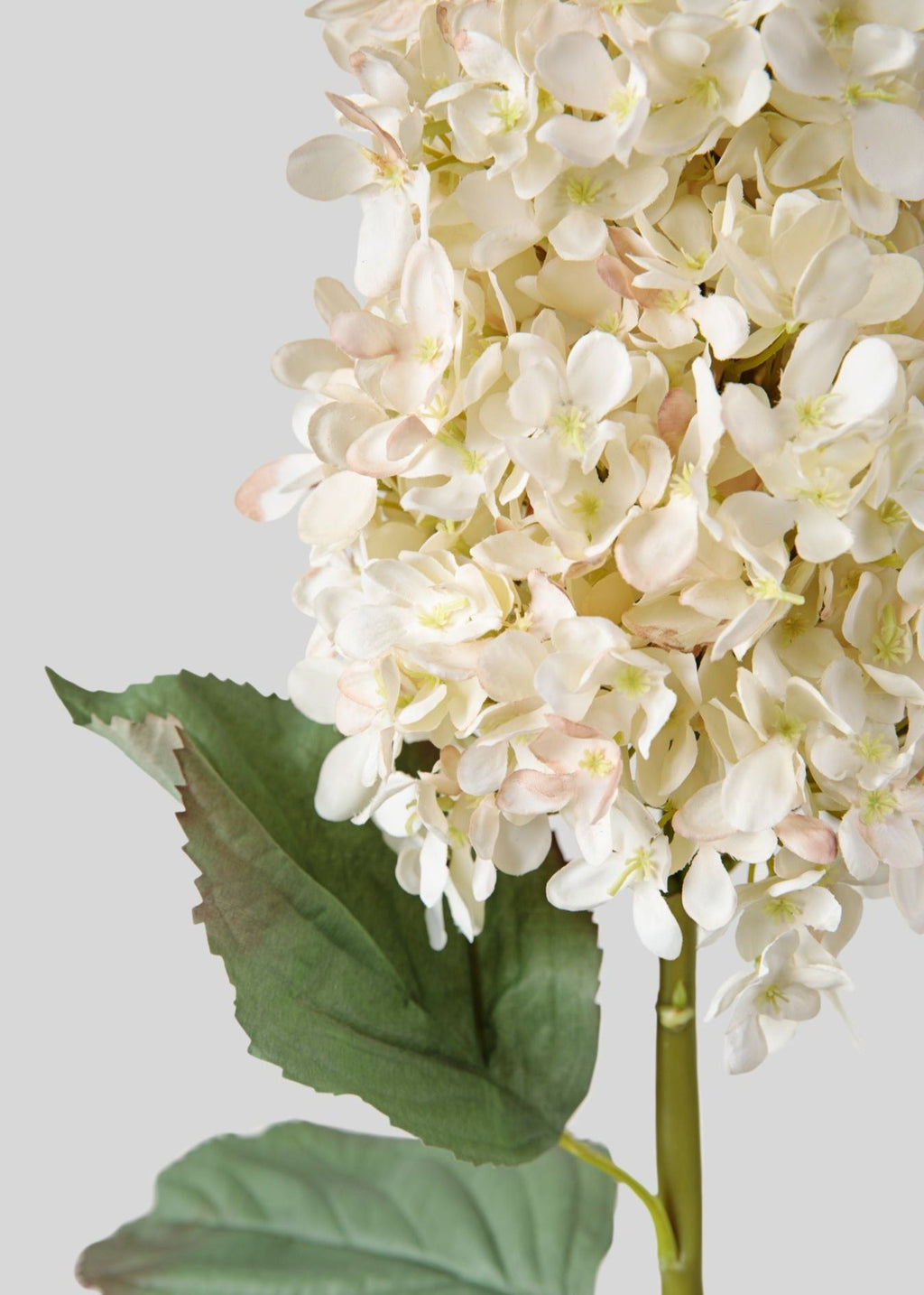 SAVE - Large Deluxe Faux Dried Cone Hydrangea in Parchment